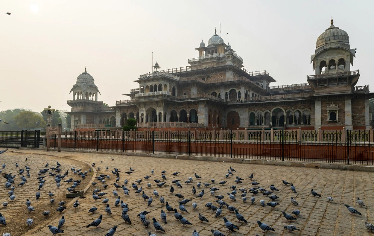 Albert Hall Museum Jaipur illuminated with colorful lights at night