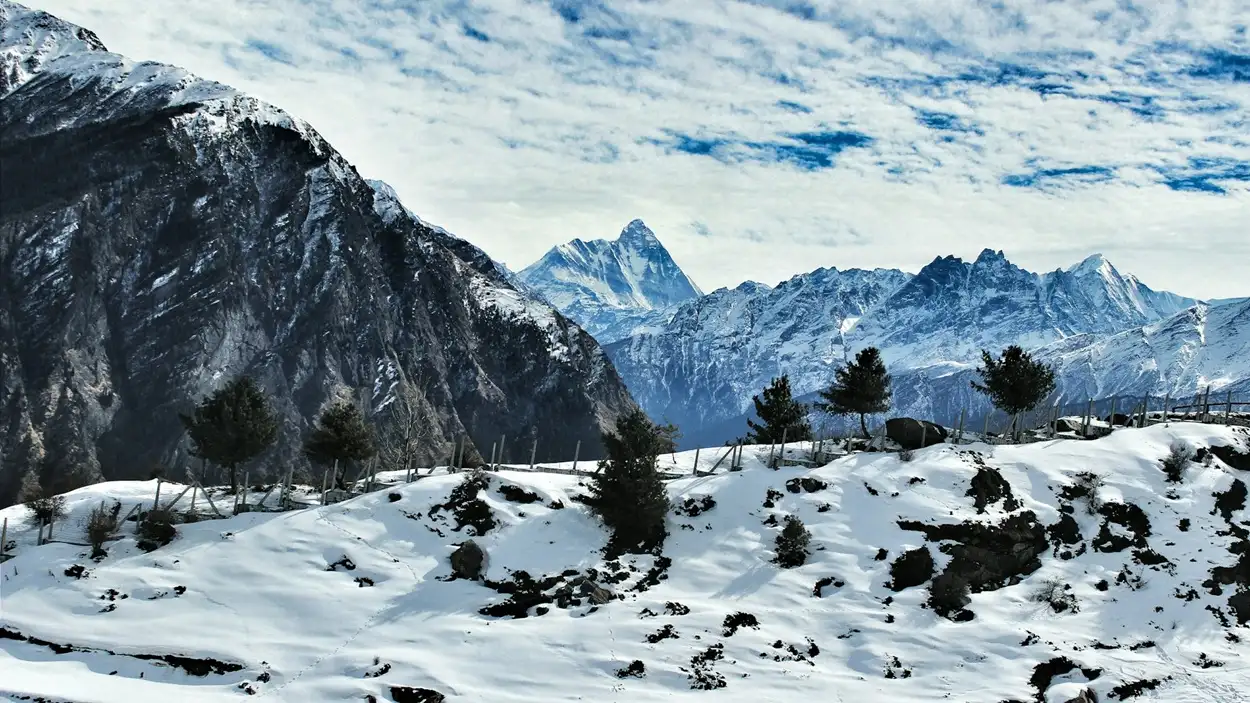 Scenic view of snow-capped Himalayan mountains and lush valley in Uttarakhand