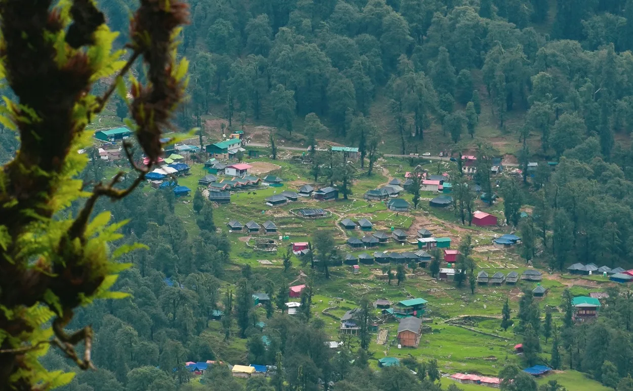 Swiss tent camping and eco homestays surrounded by pine forests in Chopta