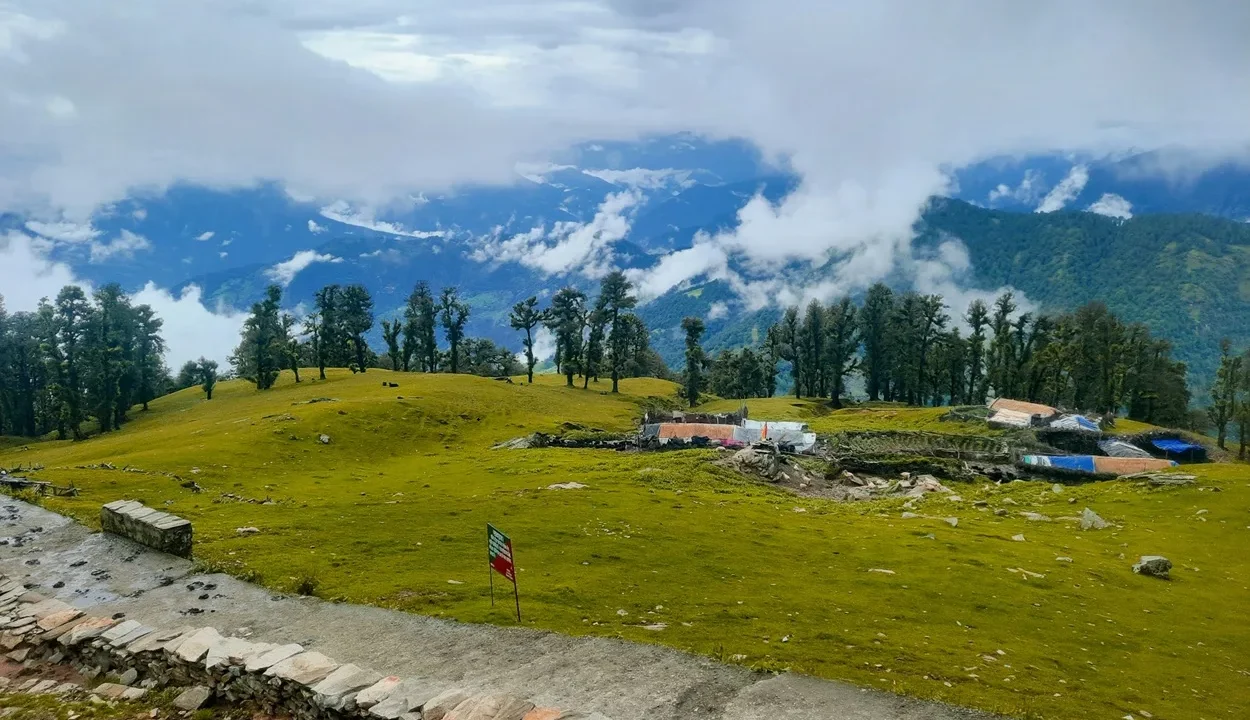 Panoramic view of green meadows and Himalayan peaks in Chopta Uttarakhand