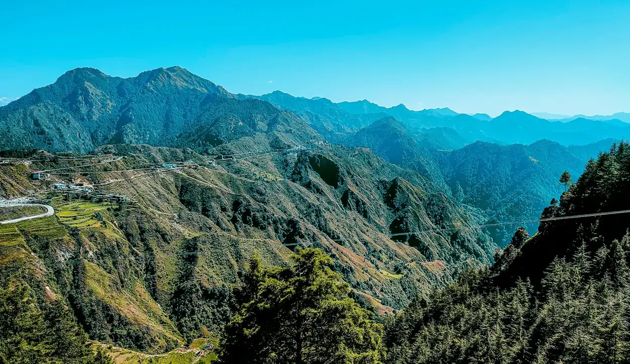 Dense deodar trees and misty views at Eco Park Dhanaulti