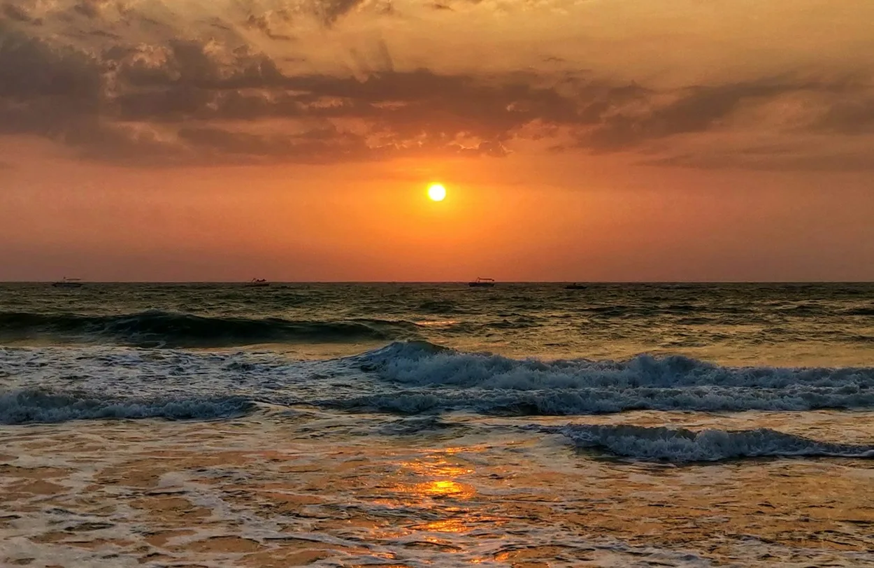 Tropical sandy beach with leaning coconut palm trees during sunset in Goa India
