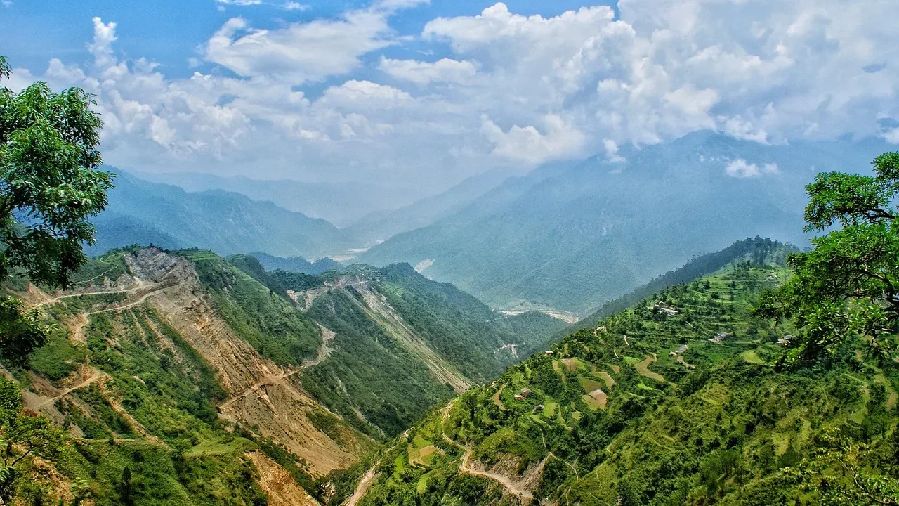 Scenic road trip view of misty hills and pine trees near Delhi