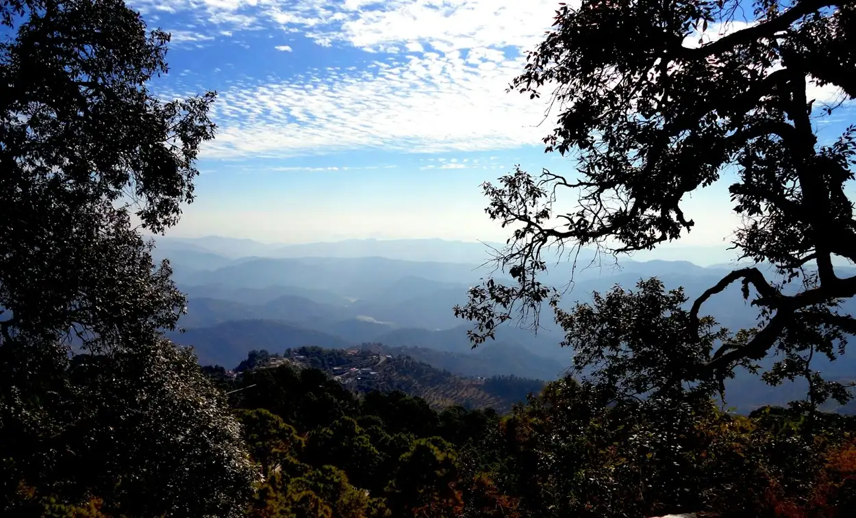 Scenic view of oak pine trees and misty valleys in Lansdowne hill station