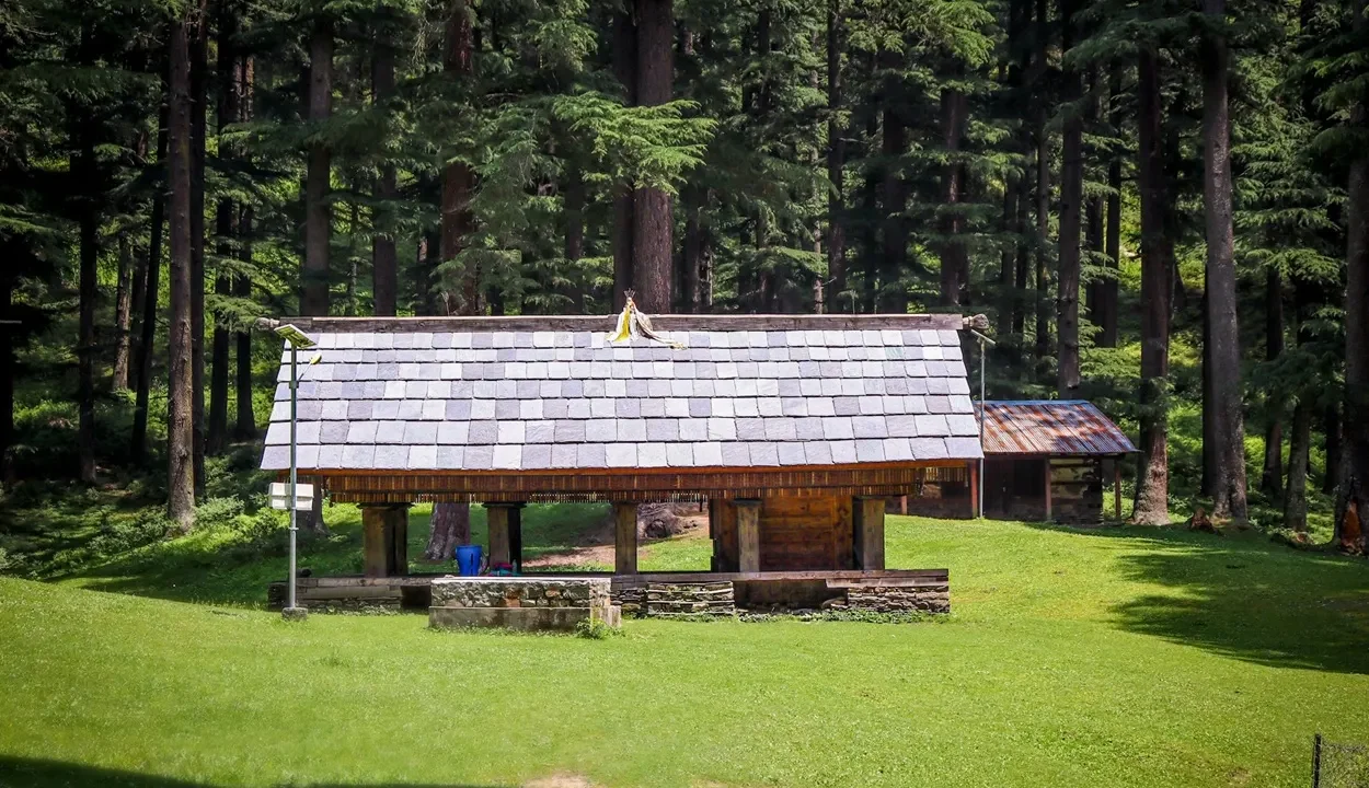 A traveler standing at a scenic mountain viewpoint in Jibhi during a long weekend road trip from Delhi.
