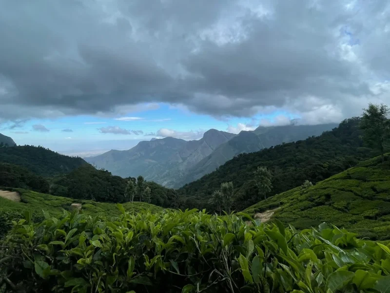 10 Best Places to Visit in Monsoon in India (2026 Guide & Safety Tips)