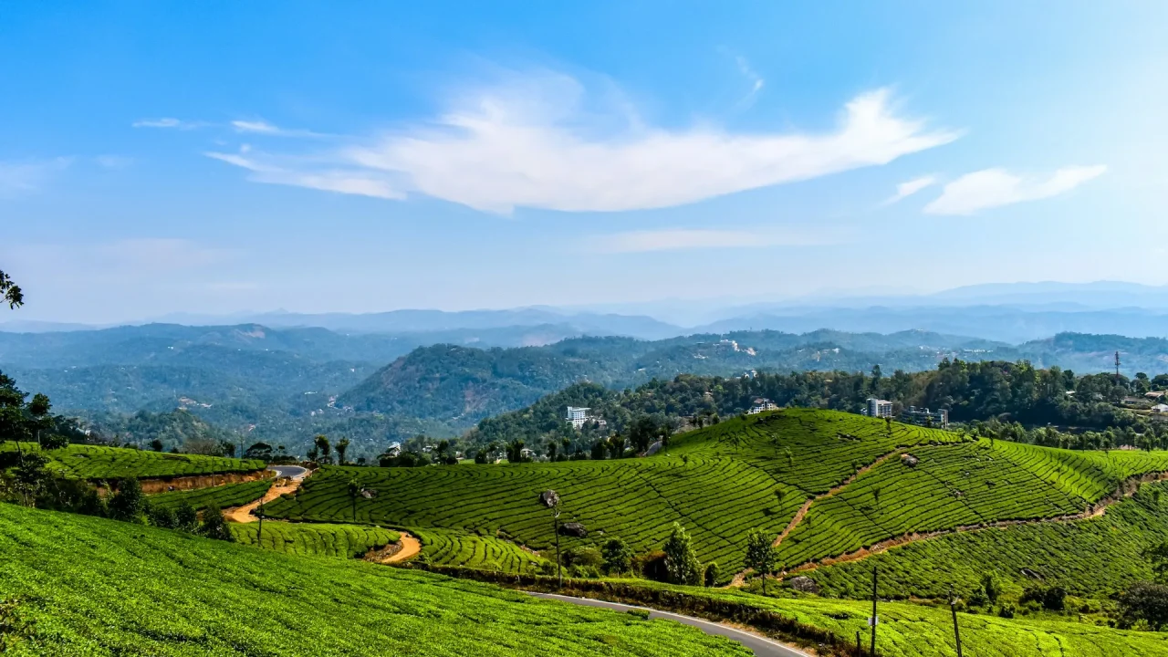 Panoramic view of tea gardens in Munnar and snow peaks in Leh Ladakh representing summer places to visit in India