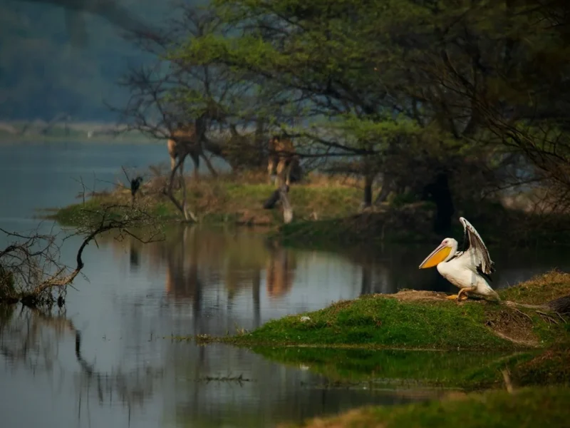 Agra to Bharatpur: Distance, Transport & Travel Guide